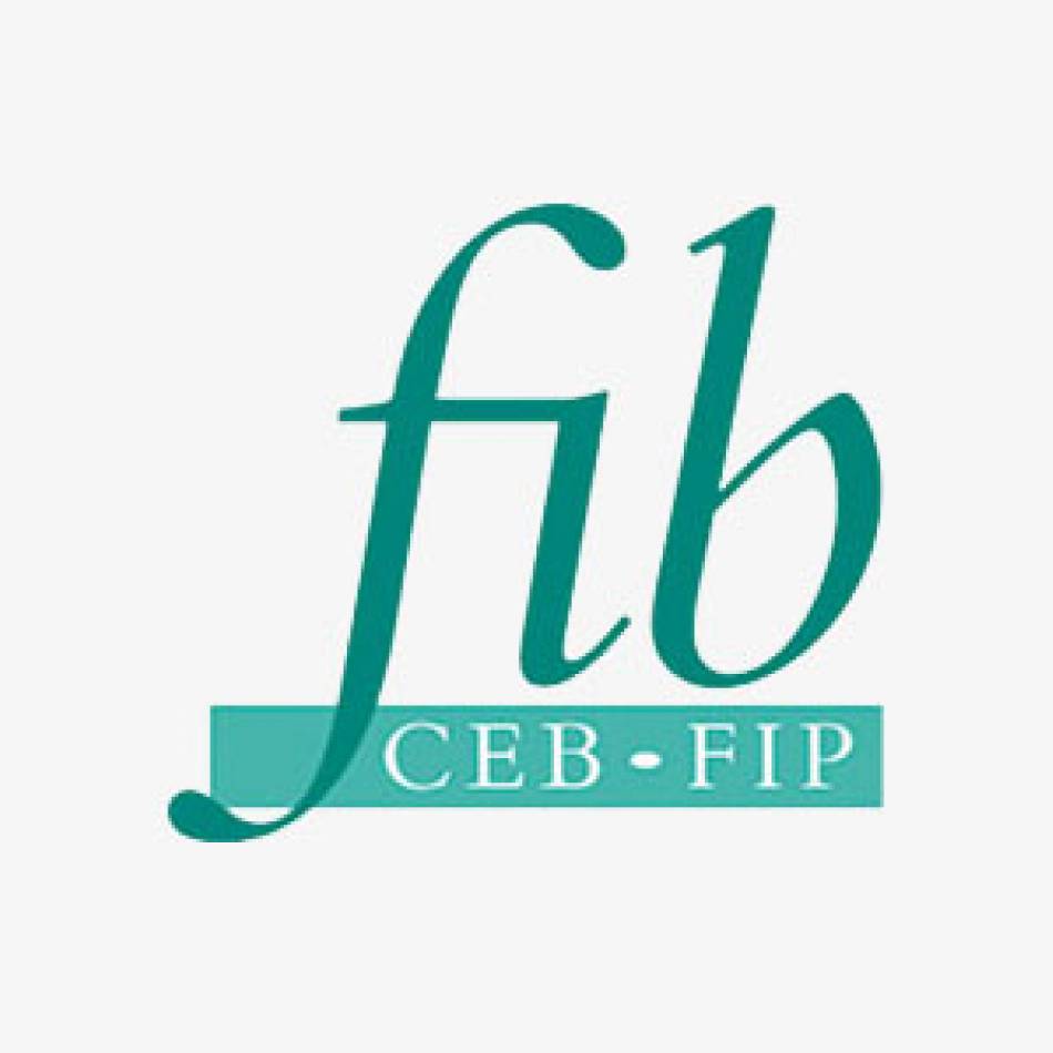 fib Working Group 2.4.2, Budapest (2018)